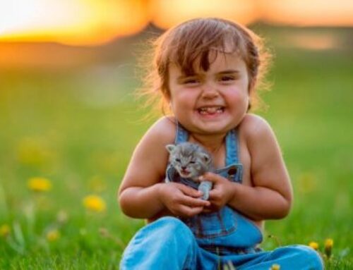 Childhood cavities may affect adult heart disease risk