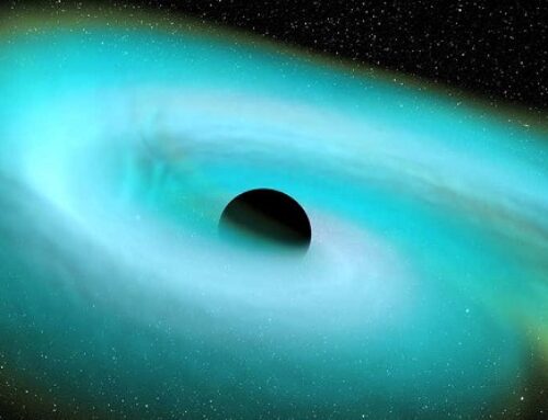 Black Holes Observed Munching on Neutron Stars