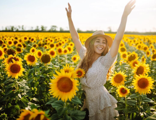 Sunflowers align movements so they all get maximum sun