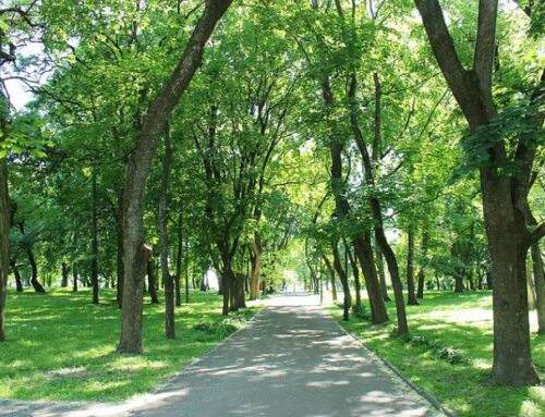 Living near green spaces may reduce developmental risks