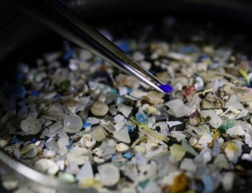 Microplastics