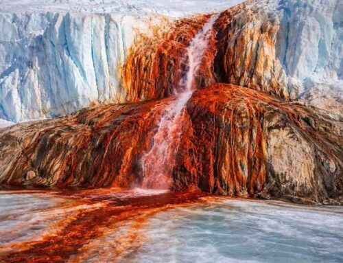 Hidden brine network gives red color to glacier