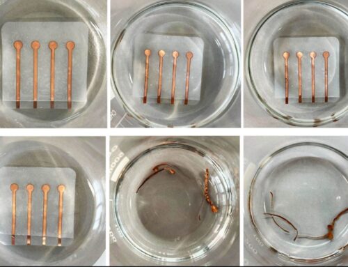 “Living plastic” biodegrades with heat, nutrients