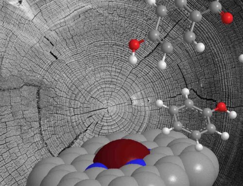 Catalyst developed to convert lignin into chemicals