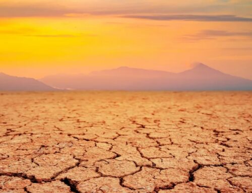 Earth’s biosphere might survive longer than expected