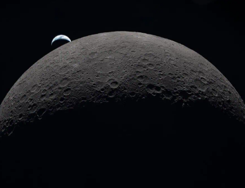 Microbes could survive for weeks at moon’s poles
